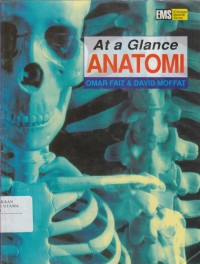 Image of At a Glance Anatomi