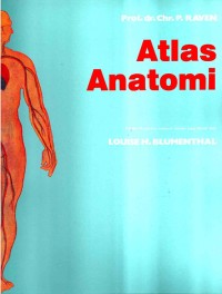 Image of Atlas anatomi