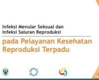 Image of (E-book)  Buku Saku Infeksi Menular Seksual dan Infeksi Saluran Reproduksi pada Pelayanan Kesehatan Reproduksi Terpadu