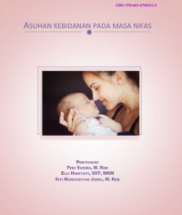 Image of EBOOK ASUHAN KEBIDANAN PADA MASA NIFAS
